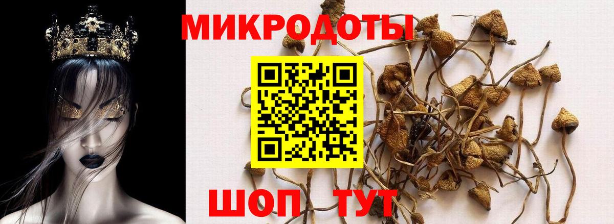 Псилоцибиновые грибы ЛСД Топки